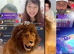 Apk Mendapat Uang Cepat Dapat Koin Di Tiktok Live